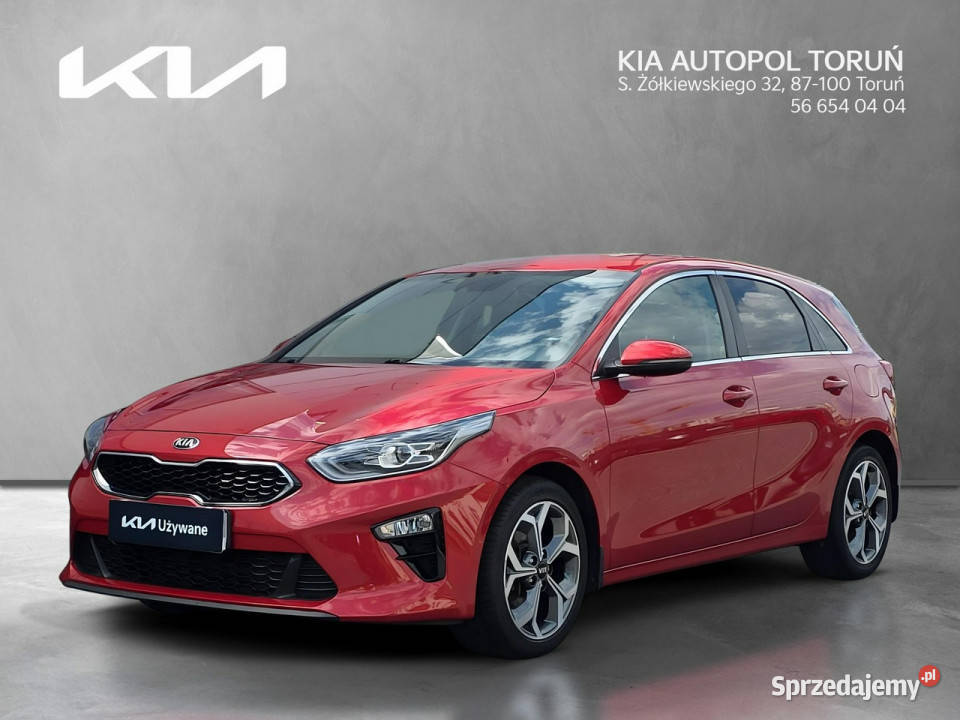 Kia Nowy Ceed Business Line 14 TGDI140 140KM kujawsko-pomorskie Toruń