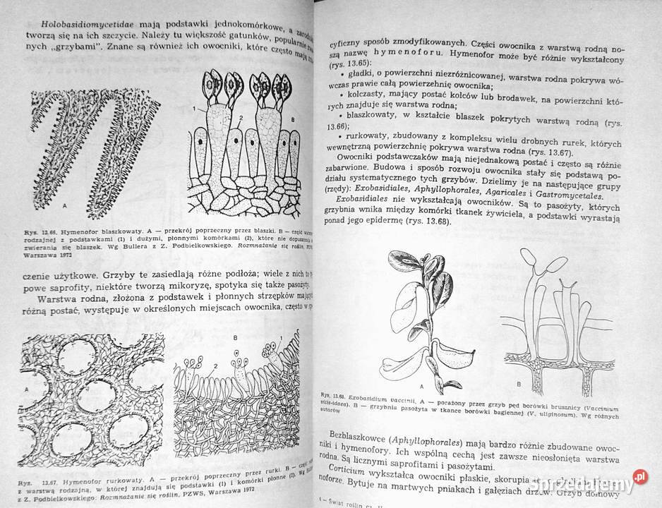 Świat roślin Cz 1234 Józef Prończuk miękka Chełm