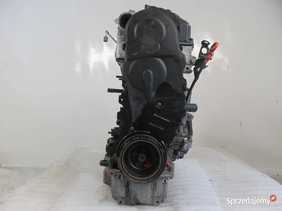 SILNIK AUDI A3 8P1 19 TDI 105 BLS sprzedam