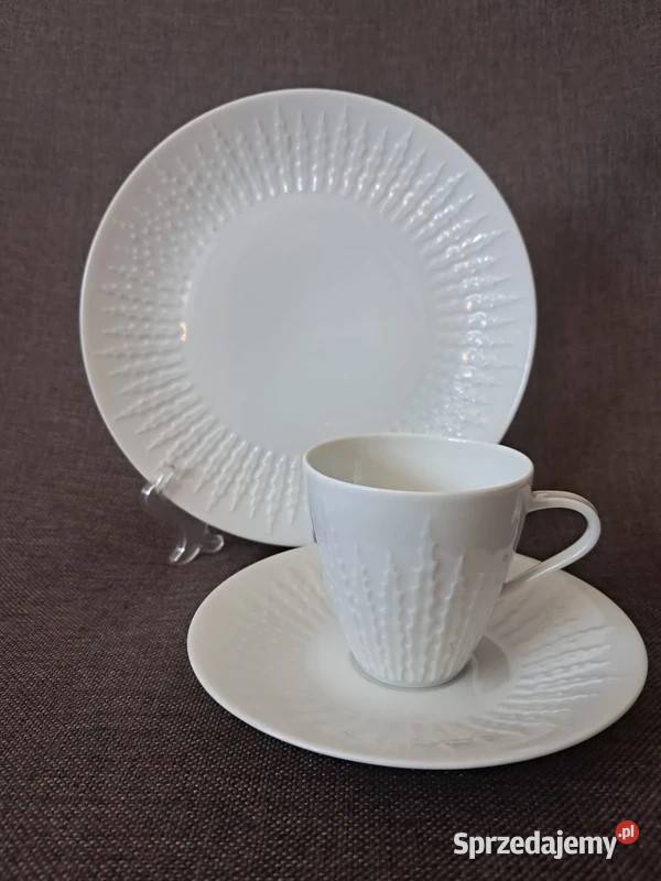 Filiżanka trio Hutschenreuther Skwierzyna