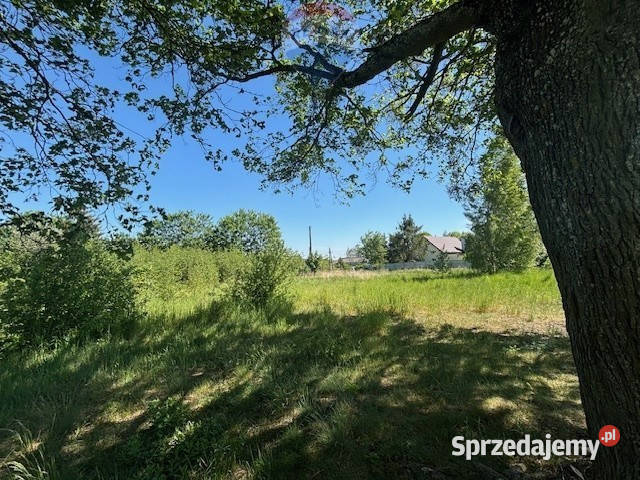 Duża działka koło Borów Tucholskich Nieruchomości Kamionka