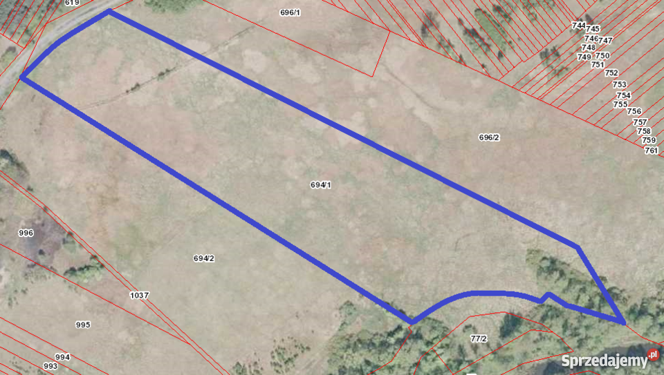 Łąka w lokalizacji Rębielice Szlacheckie