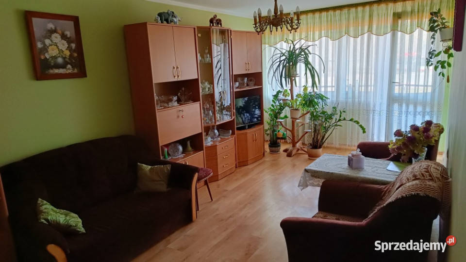 Wynajmę mieszkanie dwupokojowe Gdańsk Stogi bez pomorskie