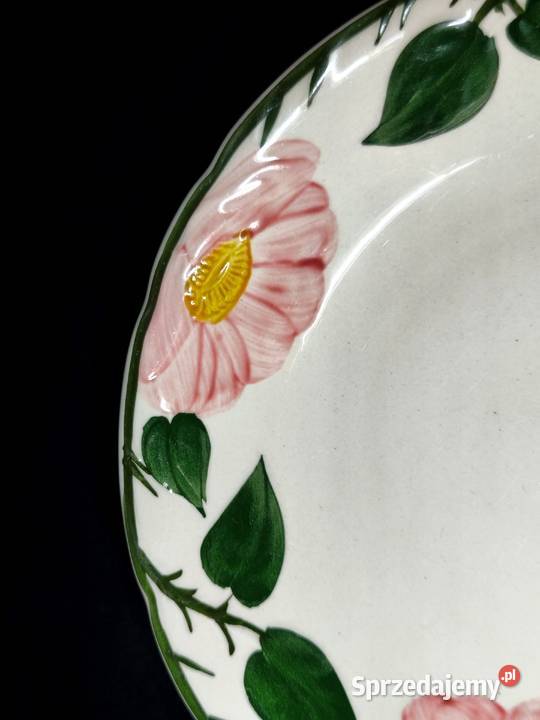 Talerz głęboki Villeroy Boch WildRose Chełm sprzedam
