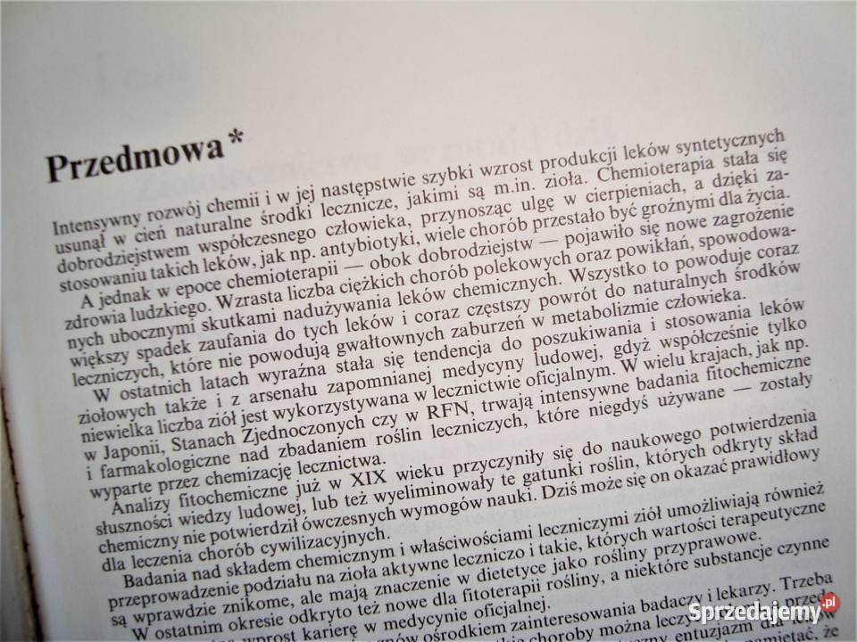 Właściwości lecznicze ziół naturalnych z Tychy