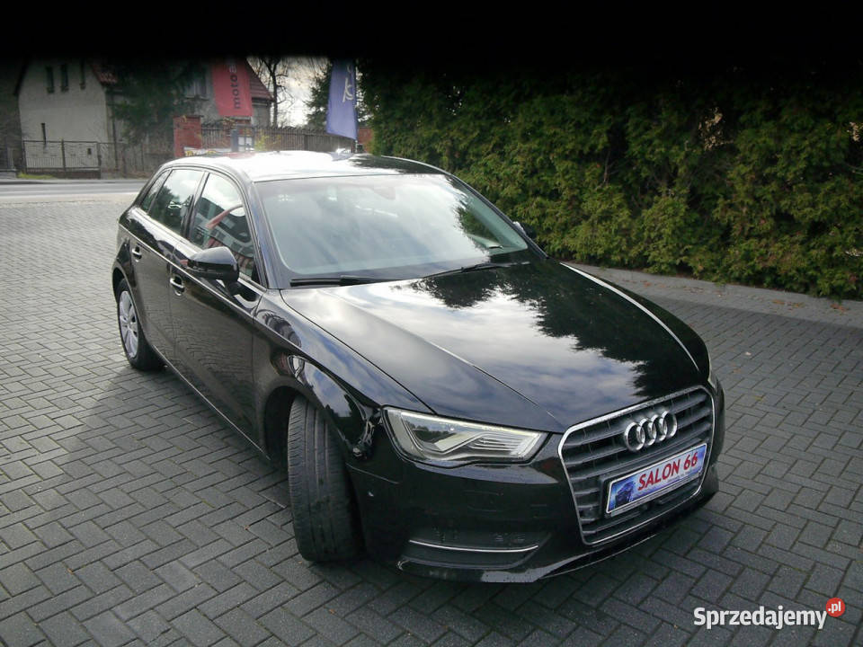 Audi A3 20tdi Ledy 100bezwypadkowy Stan Idealny elektrochrom. lusterka boczne Częstochowa
