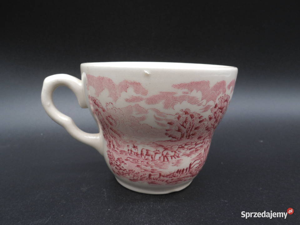 Angielska Filiżanka Vintage Ironstone England Raszków