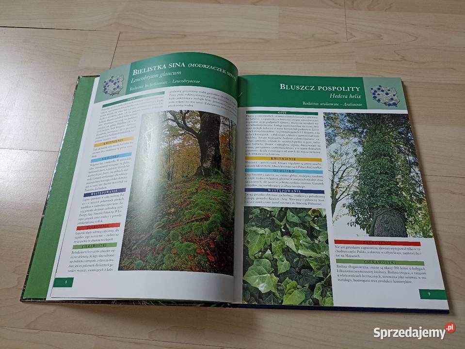 Agnieszka i Włodek Bilińscy Rośliny chronione w ISBN 8371833881 Kraków