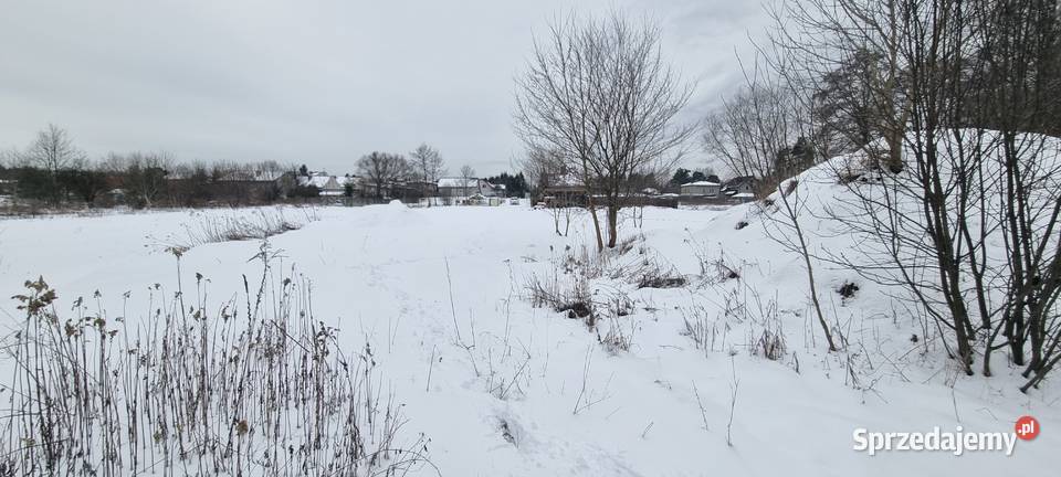Syndyk sprzeda udział 13 w nieruchomości mazowieckie Wołomin