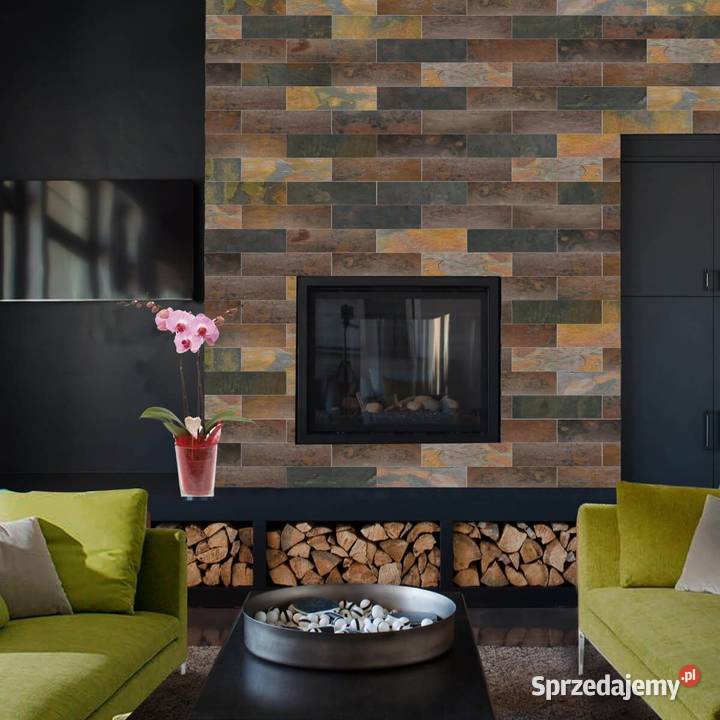 Płytki Łupek Multicolor naturalny 10x30x0813 Rumia sprzedam