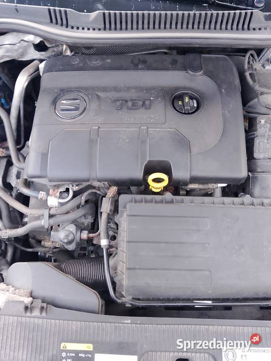 Swat ibiza Zielona Góra