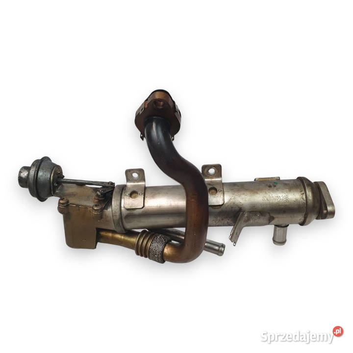 CHŁODNICA SPALIN EGR Audi A4 B8 A5 8T A6 C6 20 Chełm