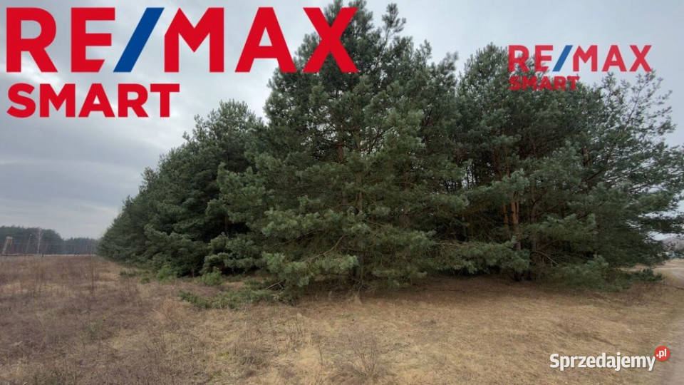 Michałów urokliwa działka budowlana 5500 m2