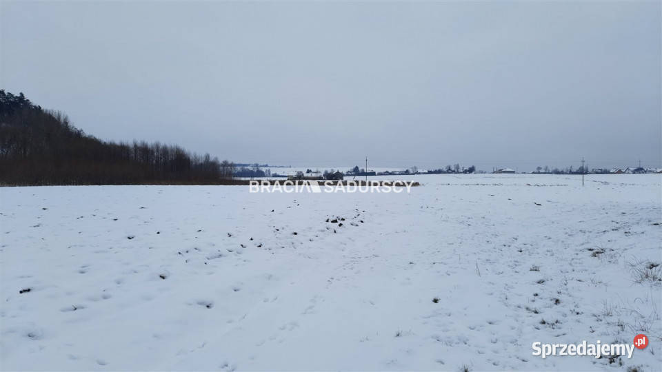 Grunt Polekarcice 4800m2 małopolskie