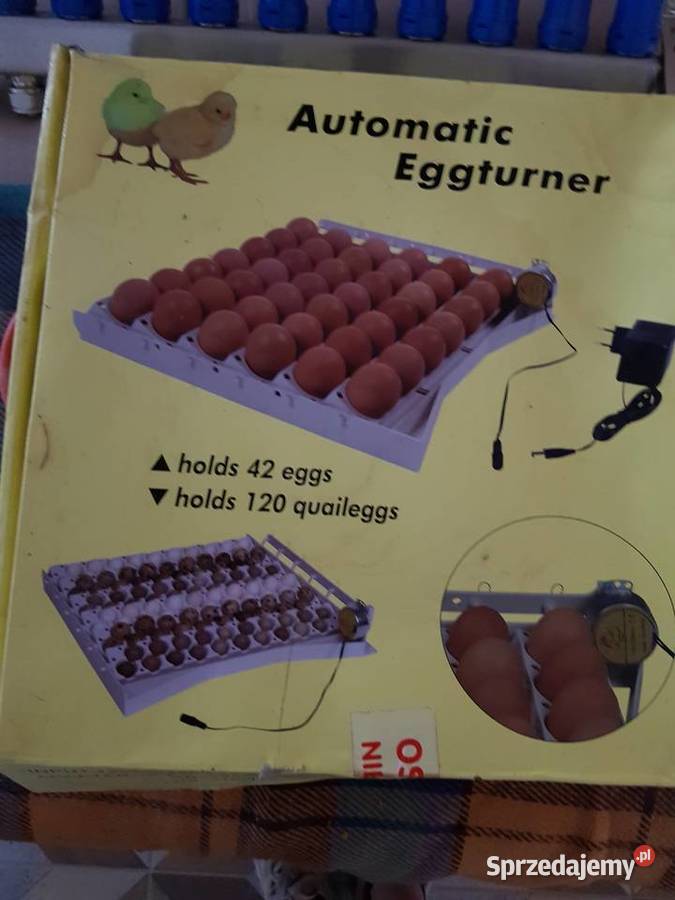 Inkubator do jajej