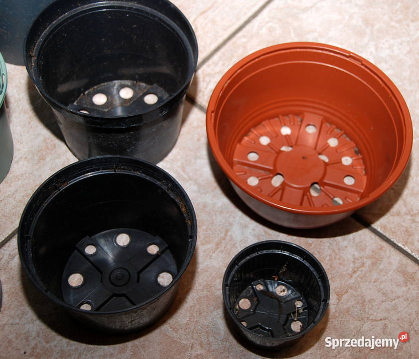 10 doniczka doniczki produkcyjne do rozsady śr10 mazowieckie Warszawa