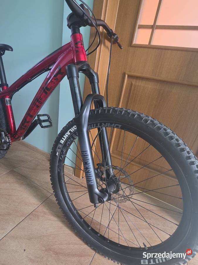 Dartmoor hornet 2021 Bronowice