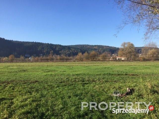 Grunt Nowy Sącz 9674m2 sprzedam