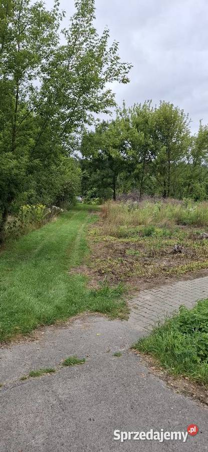 Sprzedam Działkę bezpośrednio siedliskowa Sprzedaż Suchodoły