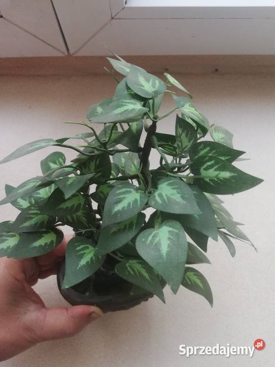 Drzewko sztuczne dekoracyjne Warszawa