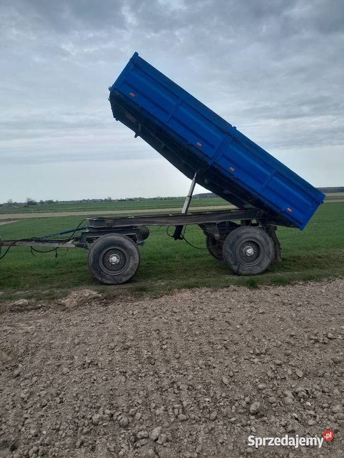 Przyczepa D 55 D55 Autosan Sanok nieuszkodzony Babczów