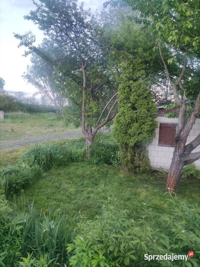 Działka ROD KALINA ZAWILCOWA z domkiem murowanym Lublin