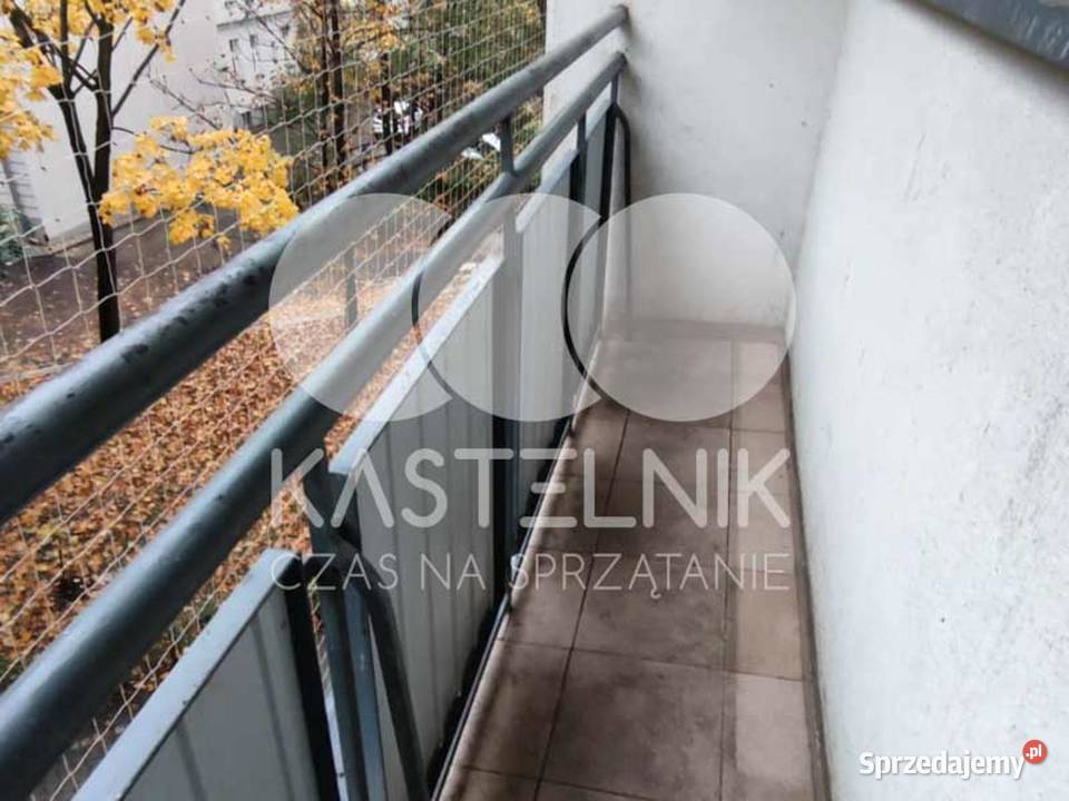 Sprzątanie gołębiach Wieliczka Kastelnik mycie