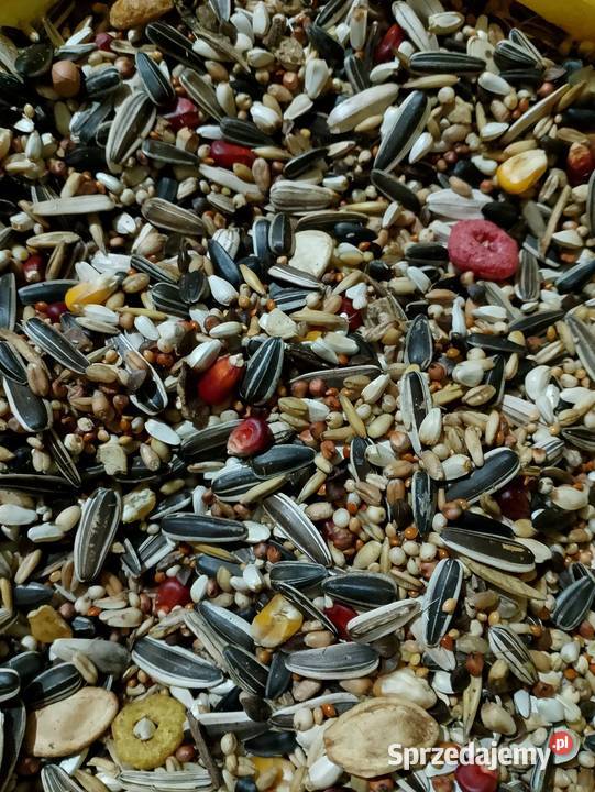 Karma papug kanarków gryzoni Strzeleczki