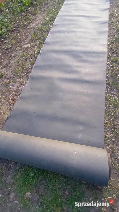 Papa smołowa wielkopolskie Tarnowo Podgórne