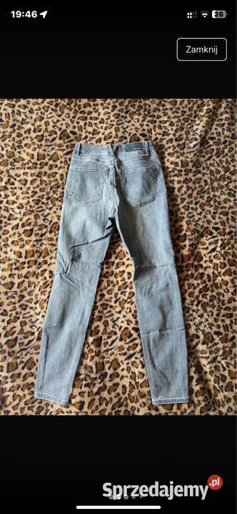 Spodnie M38 Wrocław