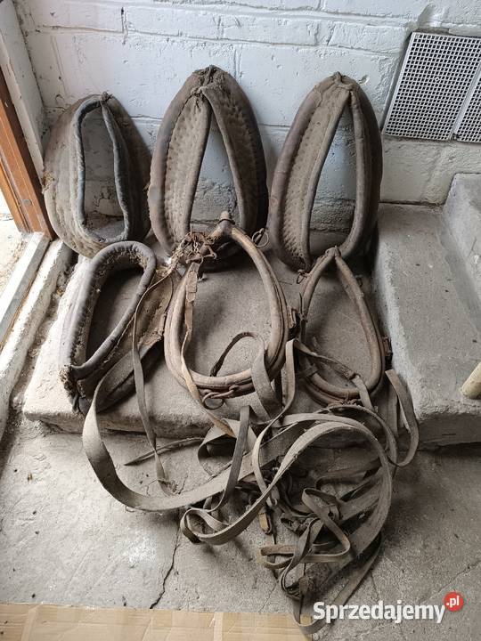 Zabytkowe akcesoria konne chomąto uprząż homonto Rzeszów