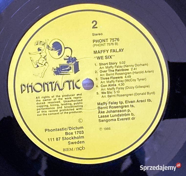 Maffy Falay We Six Szczecin