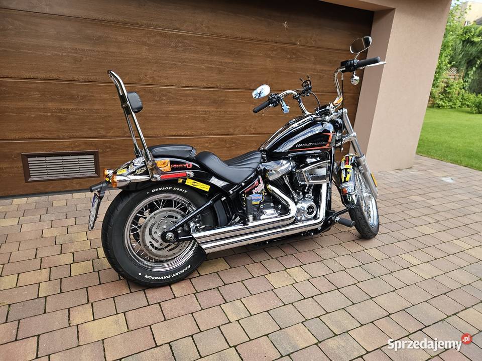 Harley Davidson FXST Softail Standard salon