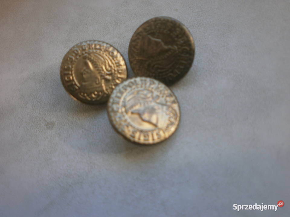 ZYGMUNT WAZA guziki lubuskie Zielona Góra