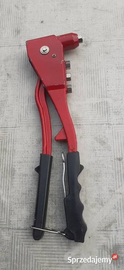 Nitownica małopolskie