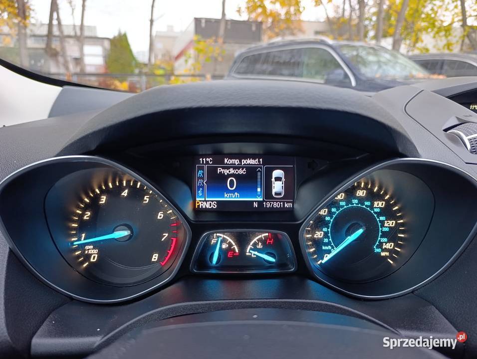 Bezwypadkowy 16 EcoBoost 180 Automat 4x4 Wersja benzyna Kuga