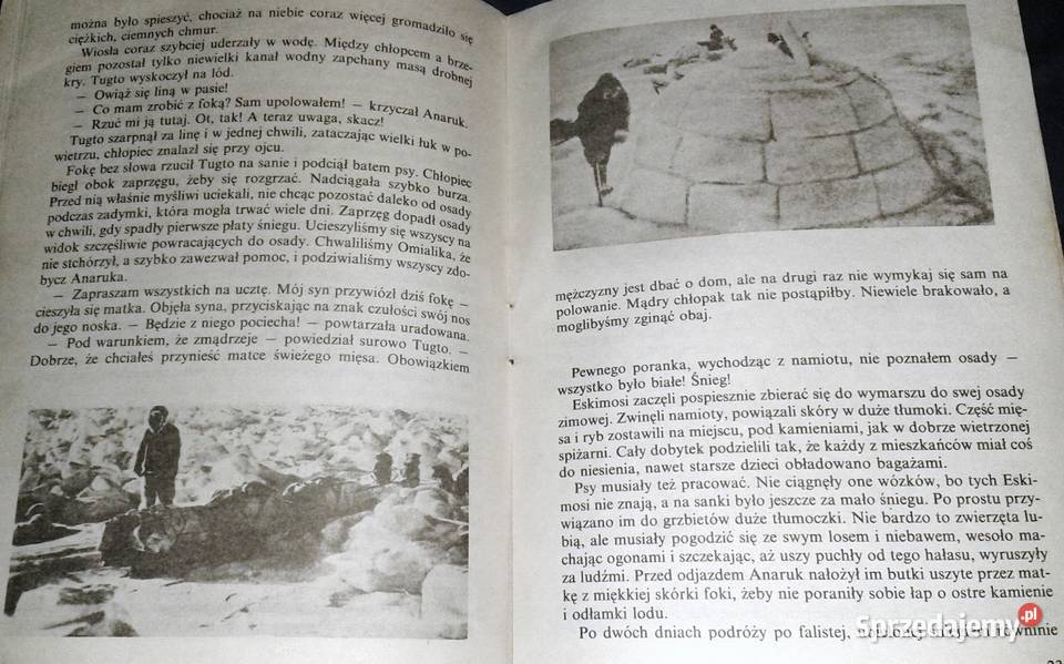 Anaruk chłopiec z Grenlandii Czesław Centkiewicz lubelskie Chełm sprzedam