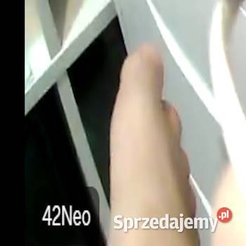 sprzedam stopy neonka opolskie