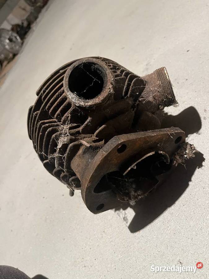 Cylinder Panonia pannonia Silniki podkarpackie Głogów Małopolski