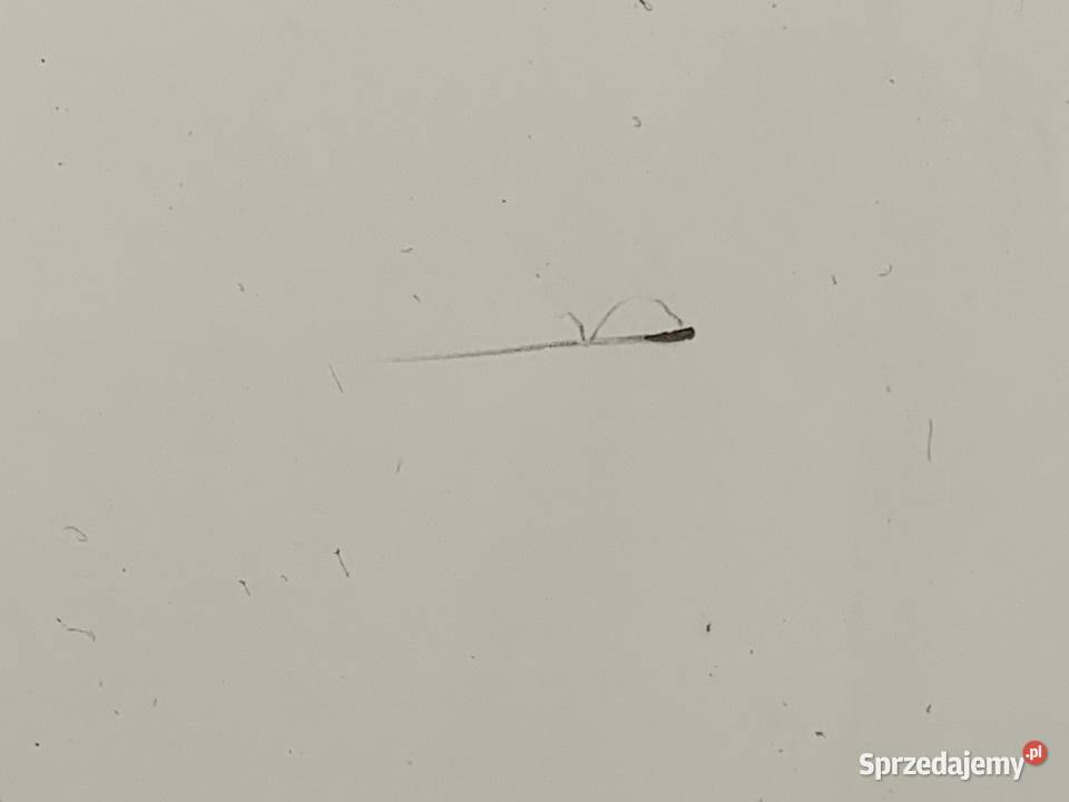 DRZWI PRAWY TYŁ PRZESUWNE CITROEN BERLINGO III