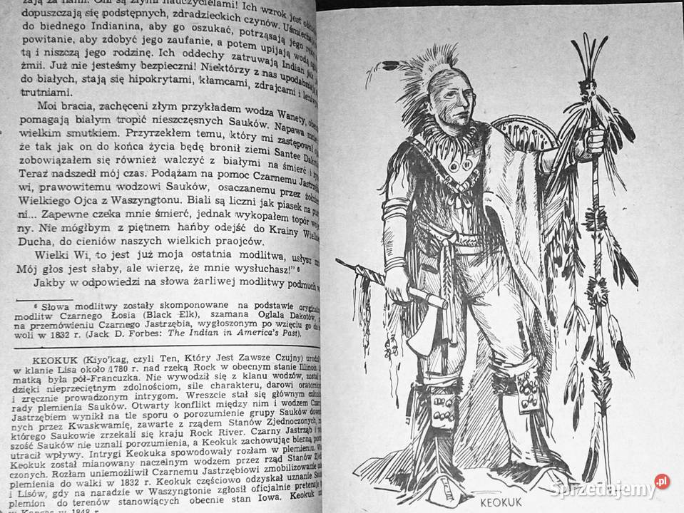 Złoto Gór Czarnych Tom 123 Krystyna i Alfred Chełm