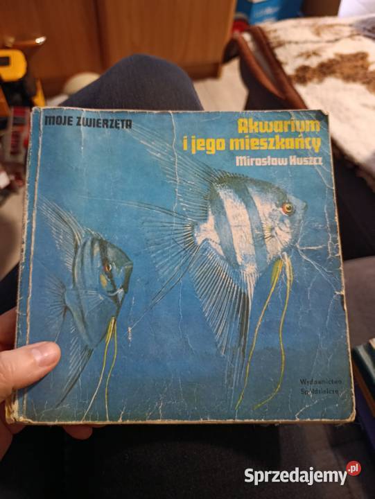 Akwarium i jego mieszkańcy autorstwa Mirosława Poznań