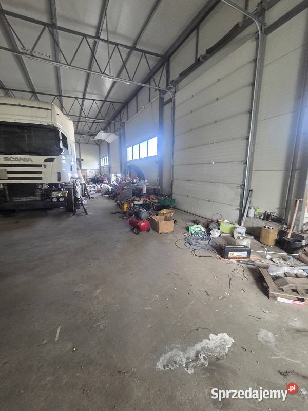 Syndyk sprzeda Amelin Nieruchomości