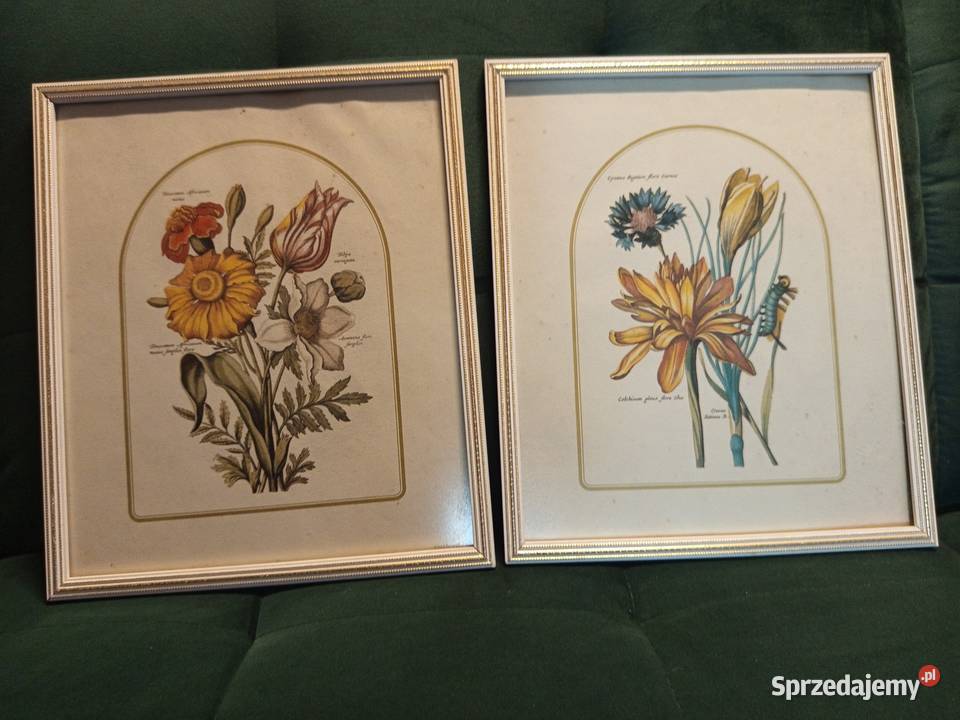 Stylowe 2 obrazki botaniczne przedstawiające Warszawa