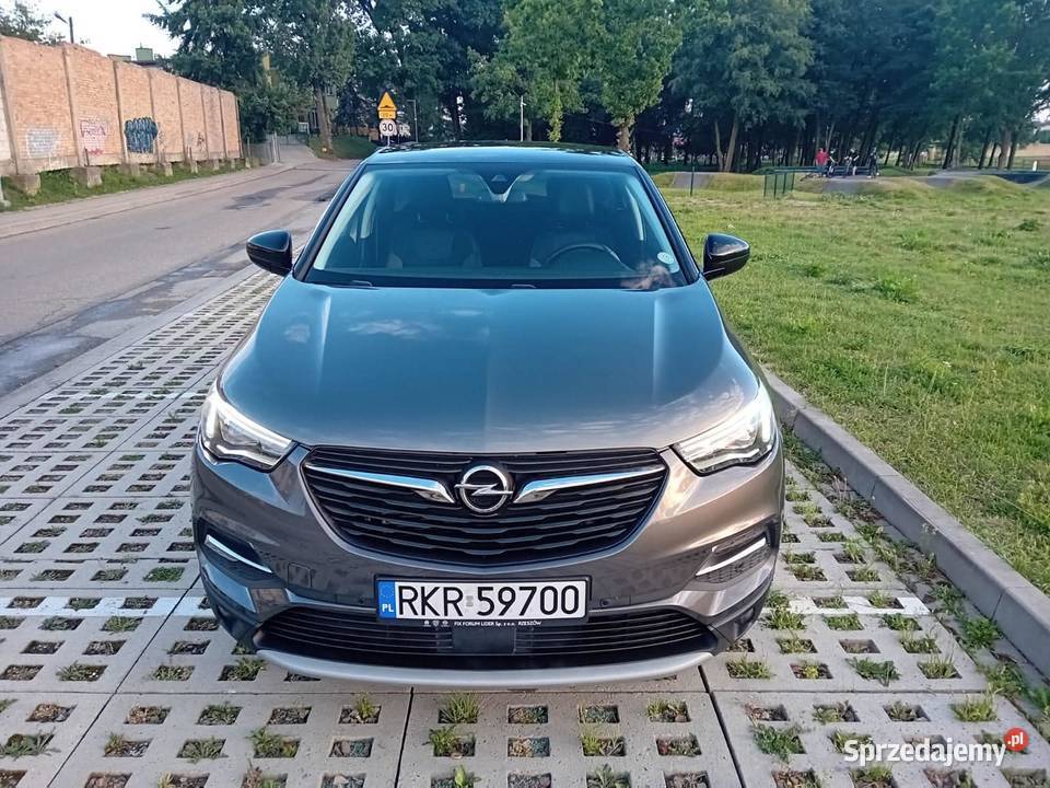 Opel Grandland X 2019 automat benzyna