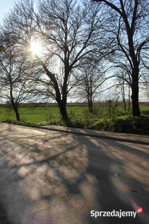 Sprzedam działkę budowlaną asfalcie lubelskie Hulcze
