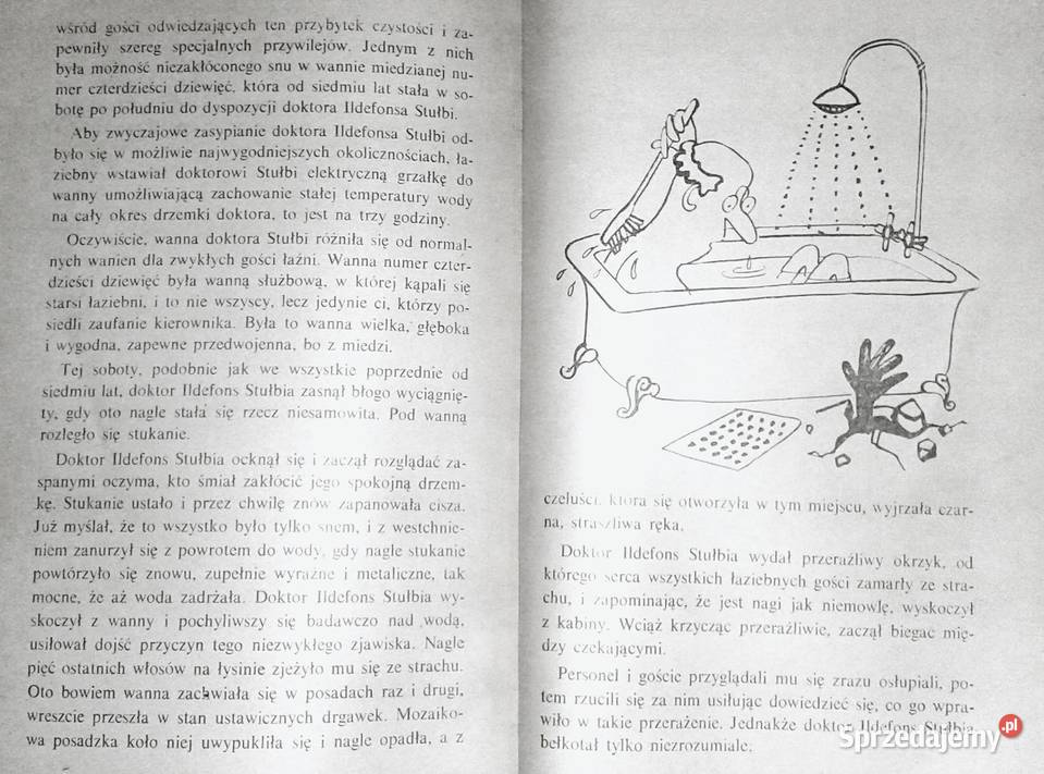 Niewiarygodne przygody Marka Piegusa Edmund Chełm