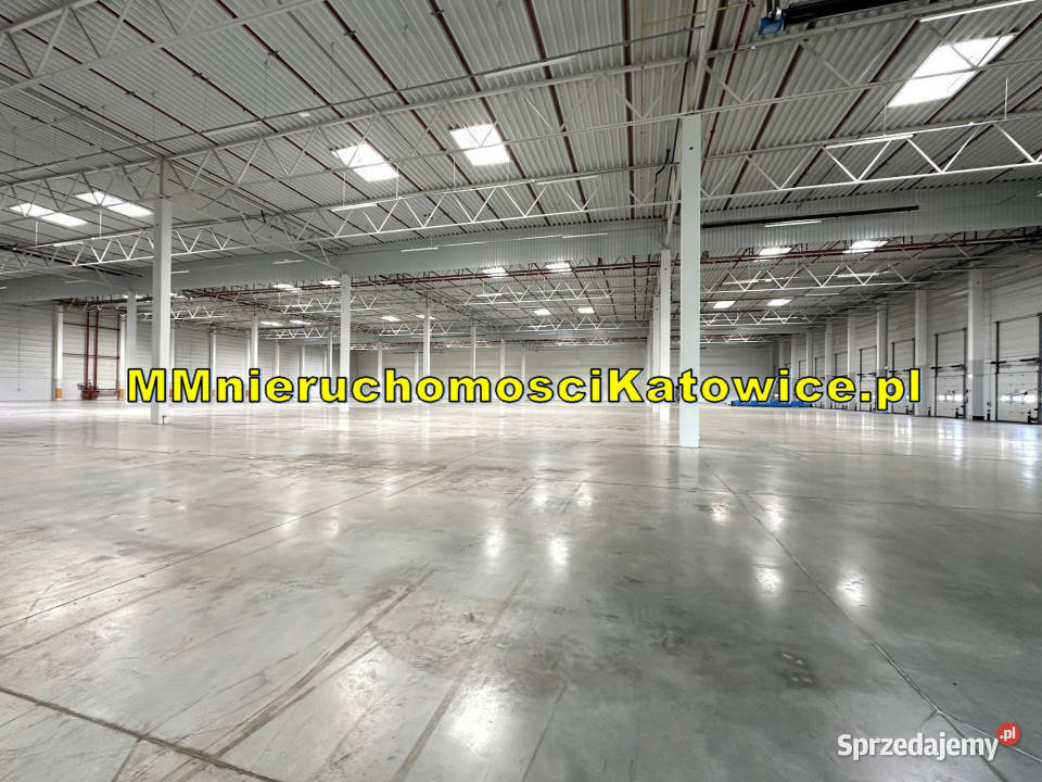 Magazyny do wynajęcia Ruda Śląska A4 super 0 winda