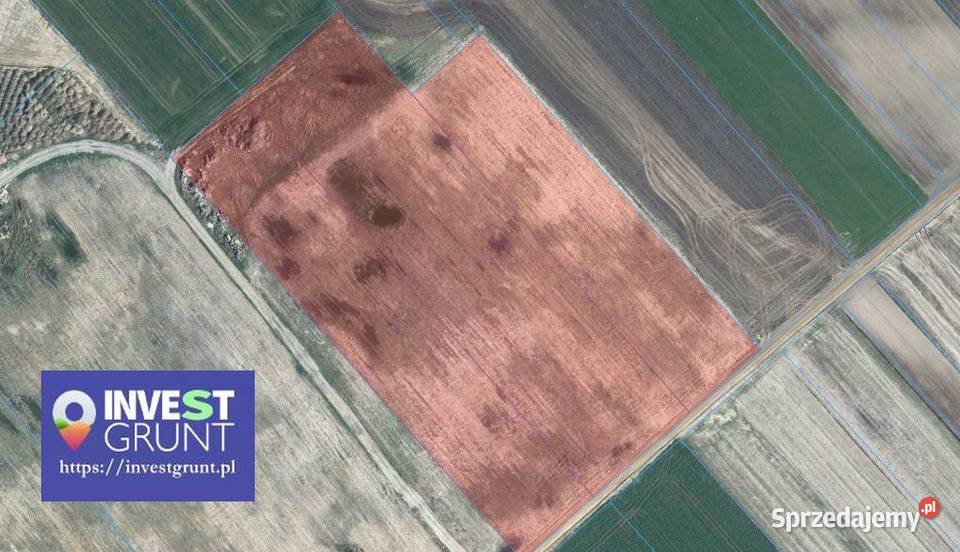 275 ha fotowoltaika przetarg na dzierżawę Koczergi sprzedam