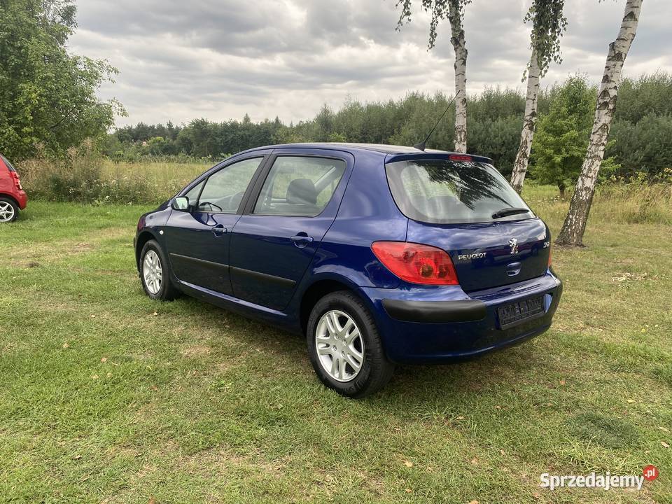 ŚLICZNY PEUGEOT 307 16 b 307 Łask